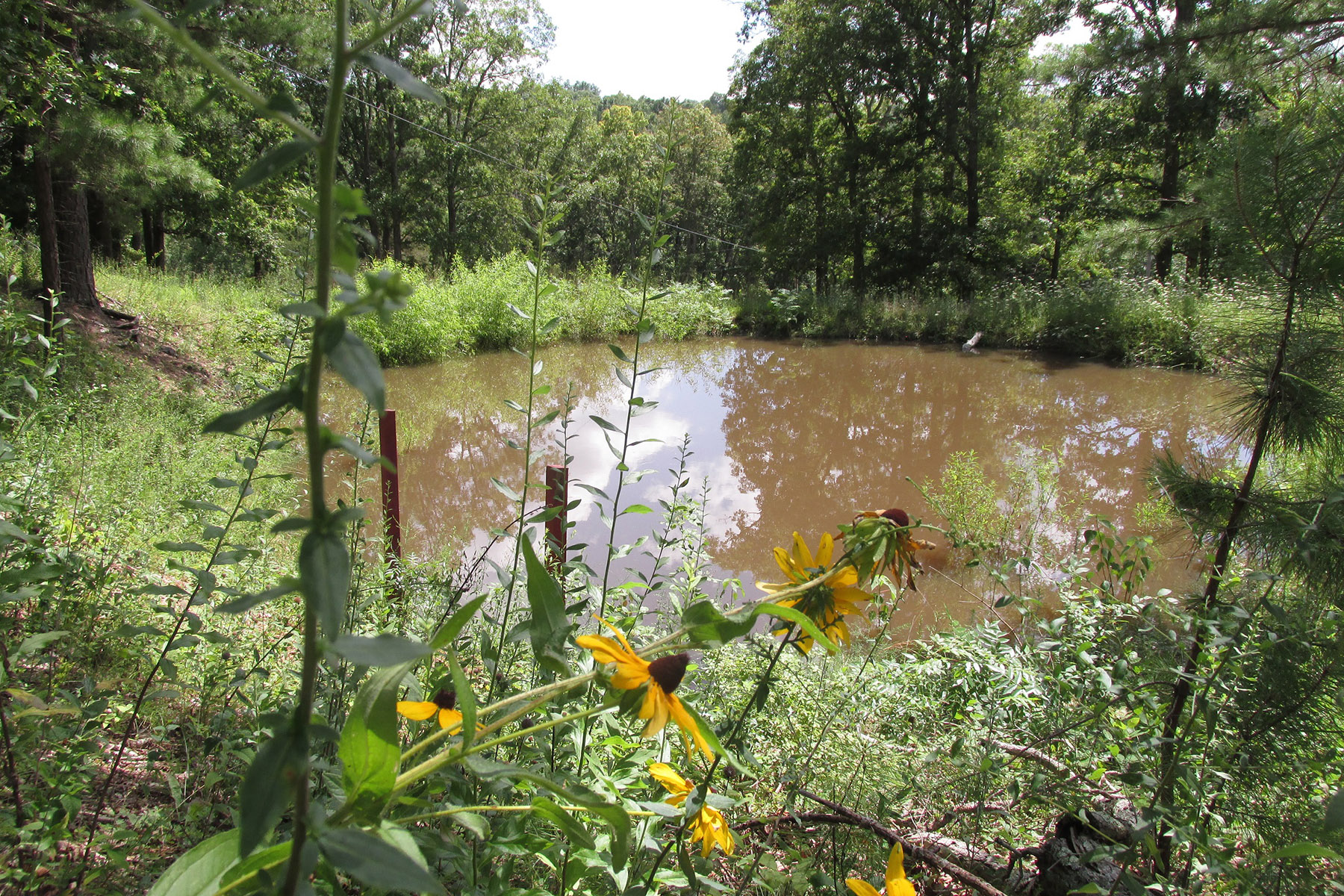 Living Off the Grid Essentials: Considerations for Getting Started